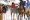 24th Cartier Polo Cup - St-Moritz 