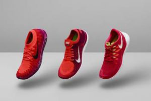 ����� Nike Free 2014