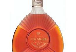 ������ Camus ������������